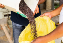 Food taxes, farm subsidies and GM crops: new ‘how-to’ guide launched for tailor-made food policies