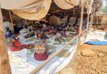 ABC Fund invests EUR€800,000 into Ugandan coffee supplier JKCC