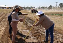 NW agriculture heightens empowerment efforts for rural communities as the provincial government’s Thuntsha Lerole gains momentum