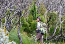 Plant “canaries” offer new early-warning system for Africa’s environmental crises