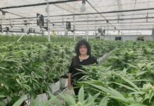 Women in Ag Award 2023: Announcement of Winners