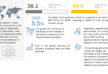 Feed additives’ role in reducing carbon emissions