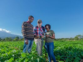 Grow Further Announces Phase II Grant to Scale AI-Powered Crop Disease Detection in Tanzania
