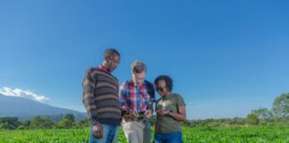 Grow Further Announces Phase II Grant to Scale AI-Powered Crop Disease Detection in Tanzania