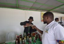 Market dynamics drive Nairobi youth into khat (Jaba) Juice production to make the natural stimulant more enjoyable for users