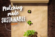 Mondi makes mulching more sustainable with Cotesi, replacing unnecessary plastic with paper
