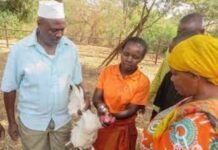 Paravets Teach Basic Vet Care to Rural Farmers