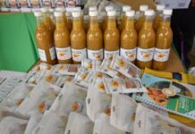 How mango value addition turned sweeter for Kenya ASAL farmer