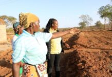 Danish Govt signs co-financing deal to support over half a million Kenyan farmers in building climate resilience actions