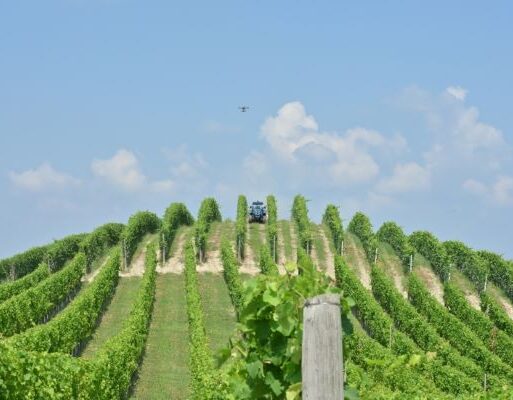 foto cs agrilevante 17 (002)