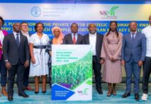 Rwandan government launches national roadmap to get rid of fake seeds by 2030