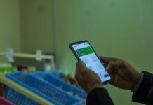 IFAD and Grow Asia to support farmers with digital tools to modernize agriculture in Southeast Asia