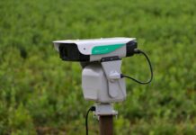 Oregon Vineyard Protects Grapes from Birds