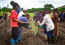 USAID to invest $100M in supporting youth in agribusiness initiative in Tanzania