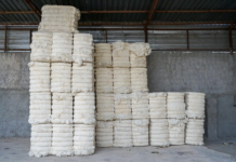 Better Cotton Revolutionises Cotton Sector with Traceability Solution