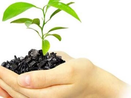 Biochar – Low-Cost Method to Improve Agricultural Output and Sequester Carbon