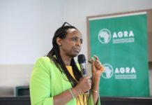 AGRA to Spotlight Sustainable Business Models, Partnerships, and Investments Driving Transformation in Africa at the 54th World Economic Forum