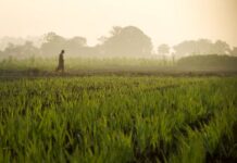 Fertiglobe Reports Q3 2023 Revenues of $525 Million; Announces Dividends of $275 Million for H1 2023