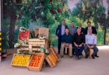 Fruitbox Ltd. confirms their position as market leader with modern cold storage facility in Nairobi