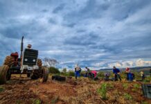 Land Reform and Corporate Governance: The private sector can do more to support beneficiary communities