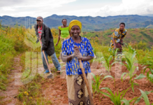 Small-scale farmers must not be forgotten if we want to feed the world and safeguard the planet – IFAD at COP 28