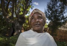 Indigenous voices surge at COP30 as thousands gather to raise forest, land-rights and climate demands