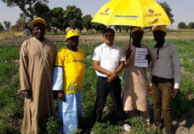 Indorama Powers Nigeria’s Petrochemicals, Fertilizer