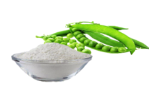 Demand for Pea Fiber is forecast to reach US$ 50.8 billion by 2034 – Fact.MR