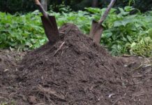 IITA–CGIAR and OCP African signs five year deal to deliver improved farm productivity from soil health and fertility