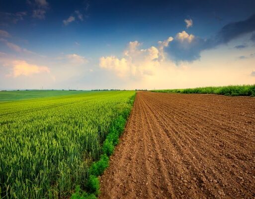 Soil_Health_Image_Credit_Syngenta (002)