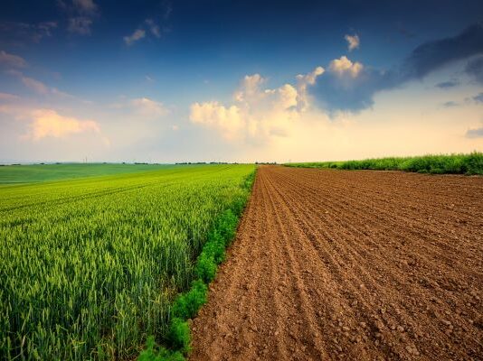 Cultivating Safety: The Role of Sound Agricultural Practices in Sustainable Food Systems