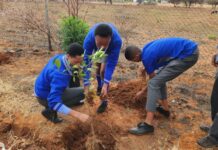 Joint initiative teaches pupils about the agricultural value chain and self-sufficiency