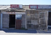 The fast lane to progress: public-private partnerships drive service delivery and social development goals