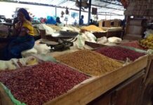 UK to invest £25 million into African food and agriculture sector to boost trade and tackle climate crisis