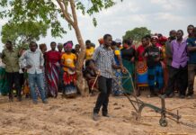 Zambian Breweries kicks off 2023 sorghum planting season in Zambia