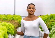 Hydroponic Farming: Pioneering Agriculture in the Fourth Industrial Revolution (4IR)