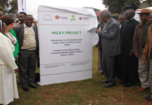Caritas Nairobi launches Ksh150 million milk processing plant to benefit over 5,000 dairy smallholders