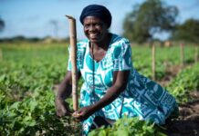 One Acre Fund uses ‘Global Croptake’ to call for smallholder representation at COP28