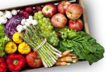 New trends in veganism movement for products and businesses in South Africa