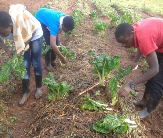 World leaders support IFAD’s urgent call for increased investment in rural communities and future global food security