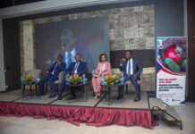 Experts and practitioners come together to improve nutrition outcomes in agricultural development in West and Central Africa