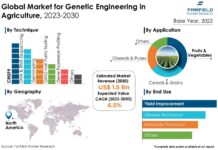 Genetic Engineering in Agriculture: Transforming the Future of Farming