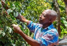 Facing a future of growing food insecurity and climate challenges, world leaders commit to increased funding for small-scale farmers and rural people