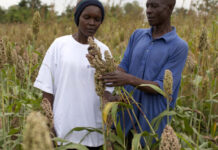 IFAD unveils new financing mechanism to up support to smallholder food producers in East Africa