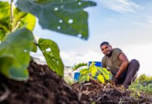 In the face of climate change and increased global food insecurity, Member States reaffirm support to IFAD