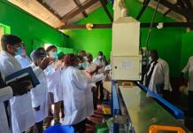 IRRI donates seed dresser to boost quality seed supply, trigger rice value chain in western Kenya