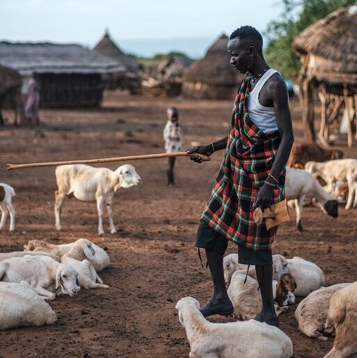 Pastoralists