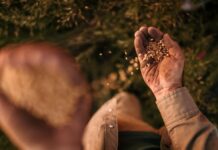 Agriculture challenges in South Africa: we need a different lens