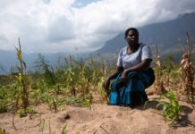 The State of Smallholder Farmers in Southern Africa