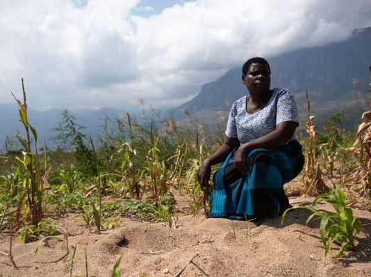 The State of Smallholder Farmers in Southern Africa
